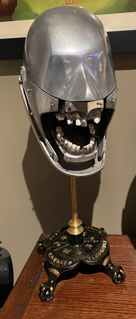 Dental Mannequin on Custom Stand